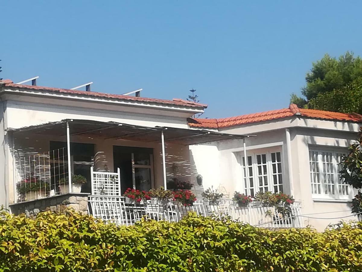 La Stanza Di Angi Palermo